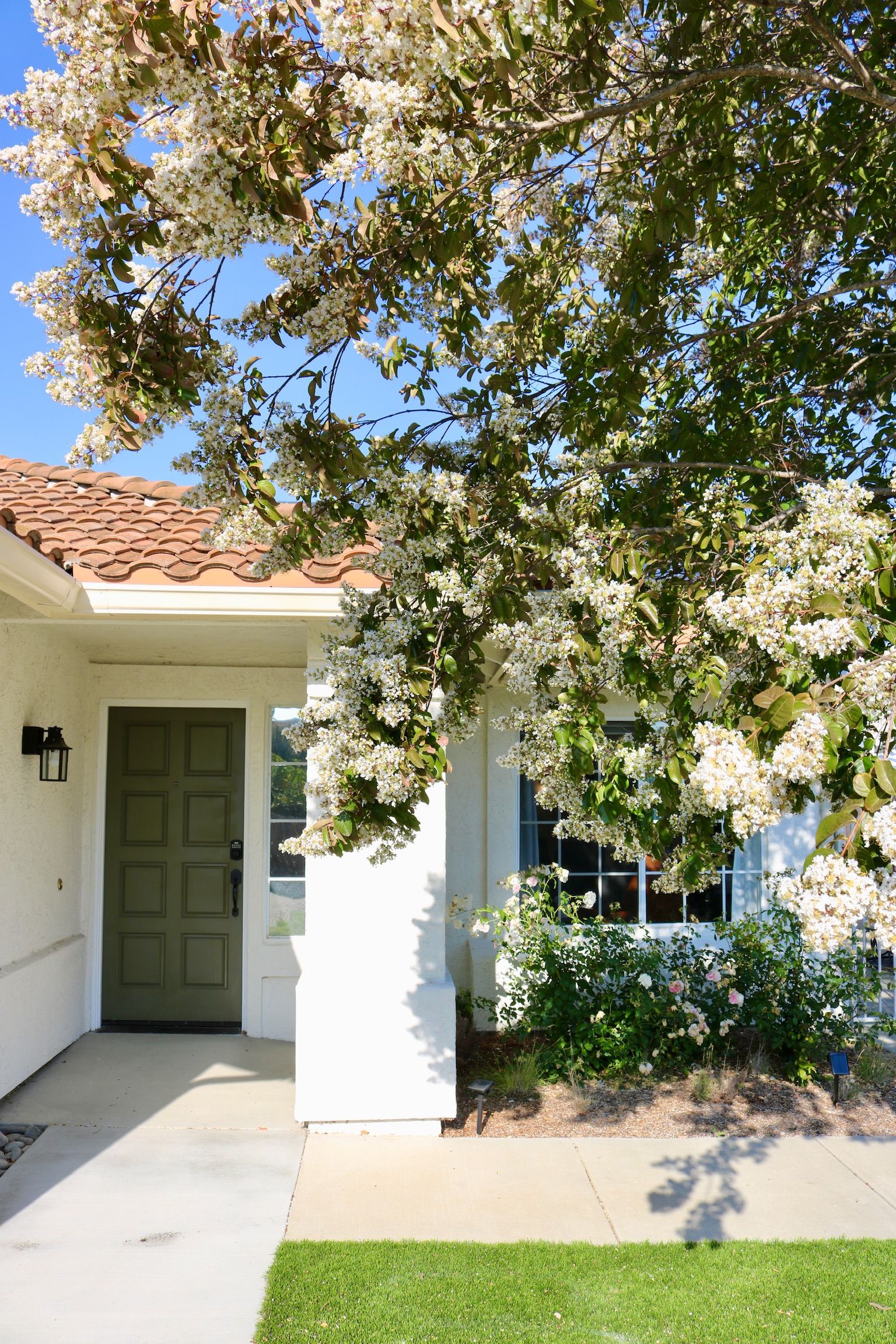 Welcoming front door of Olive Tree Elderly Homes