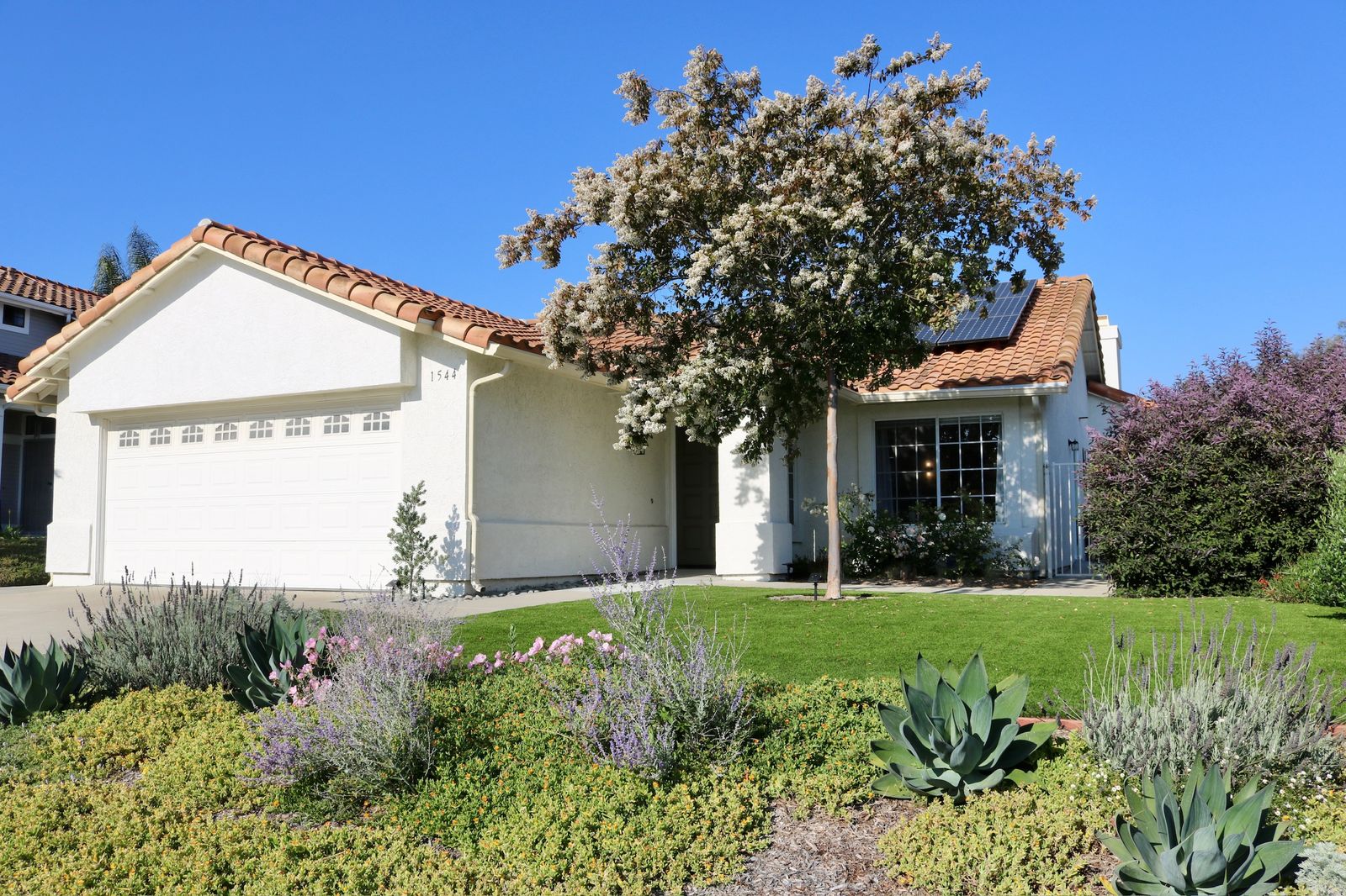 Front exterior of Olive Tree Elderly Homes, a single-story residential care home in Oceanside, California