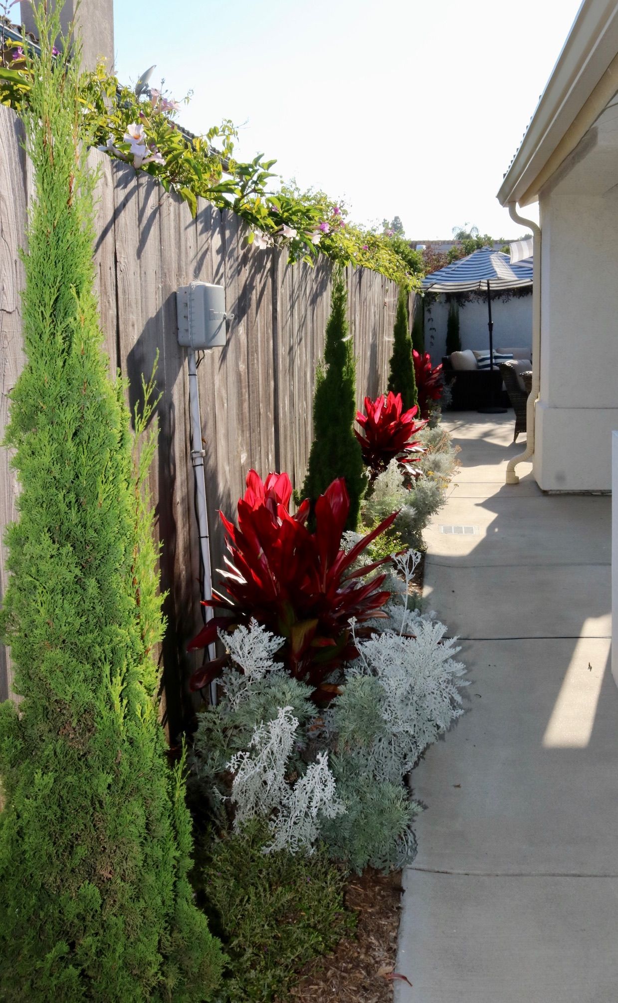 Drought-tolerant landscaping along the side patio
